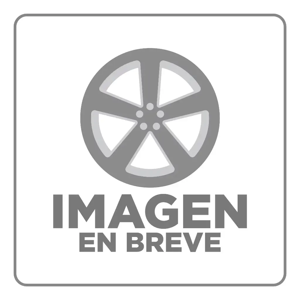 RIN 15X7 4-100/114.3 R1 SPORT T1048 SILVER MI GOLD RIVETS ET35 CB73.1 